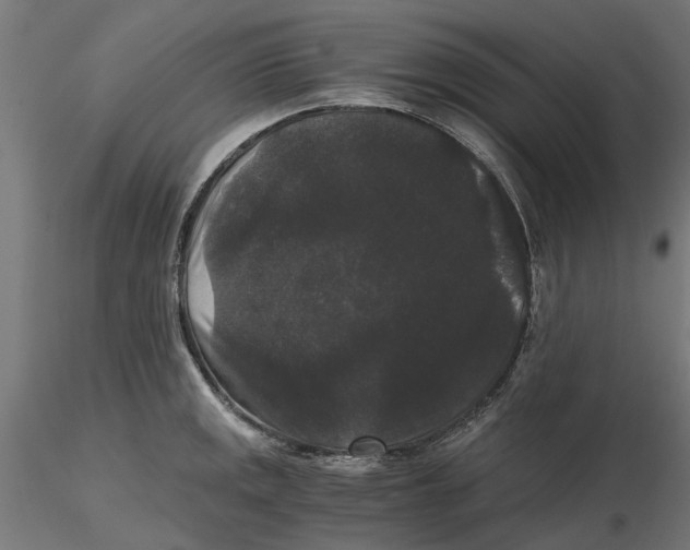 X0000116481141201001061114