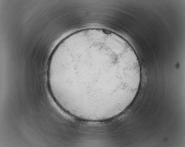 X0000116481142201001061114