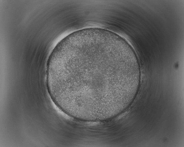 X0000116481143201001061114