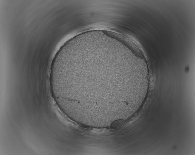 X0000116481146201001061115