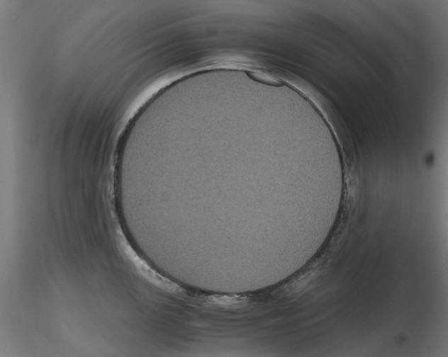 X0000116481147201001061115