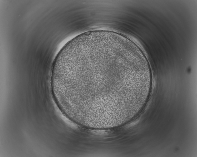 X0000116481149201001061115