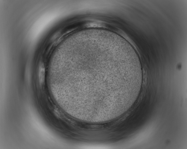 X0000116481151201001061115