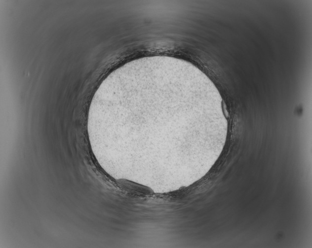 X0000116481153201001061114