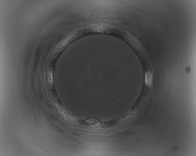 X0000116481155201001061114