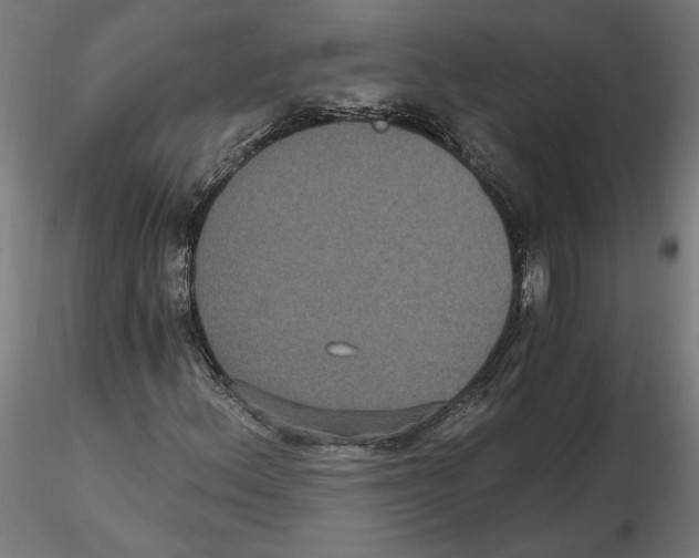 X0000116481156201001061114