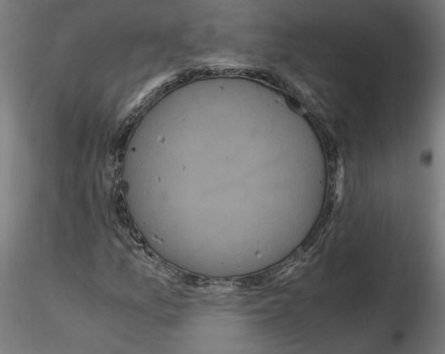 X0000116481157201001061114