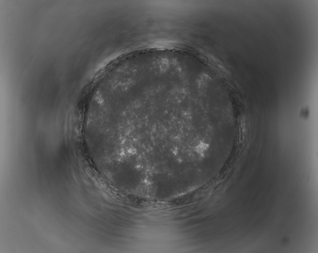 X0000116481158201001061114