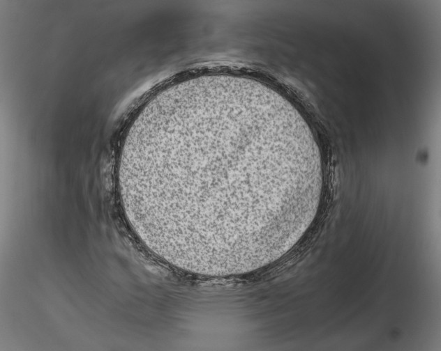 X0000116481159201001061114