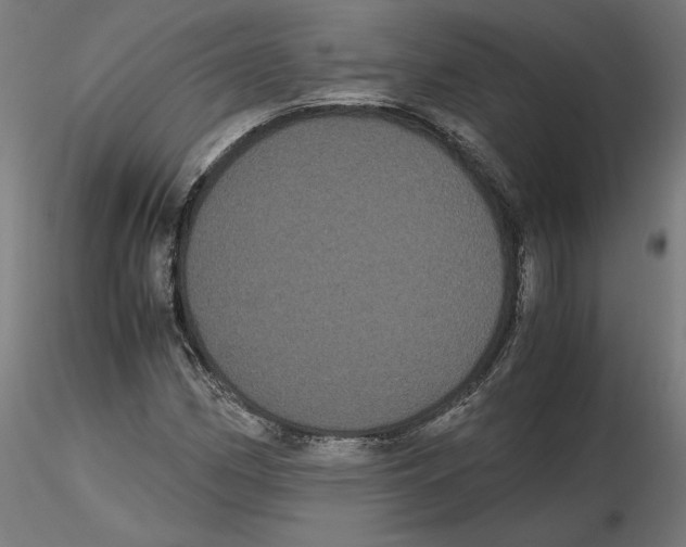 X0000116481162201001061114