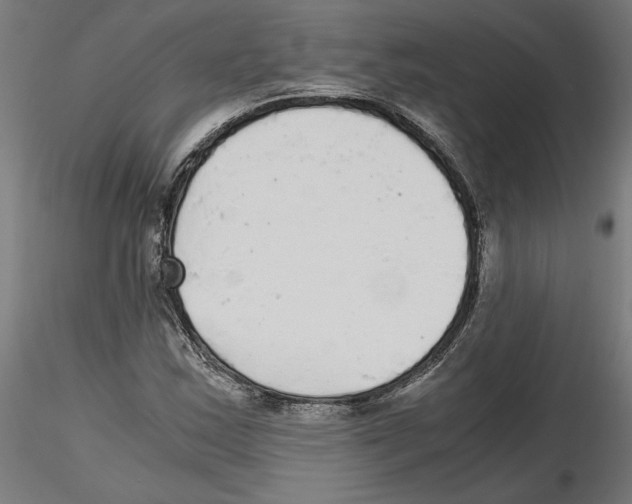 X0000116481163201001061114