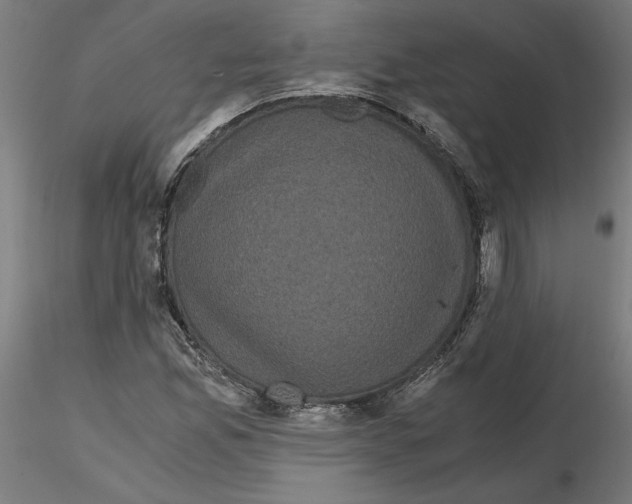 X0000116481165201001061114