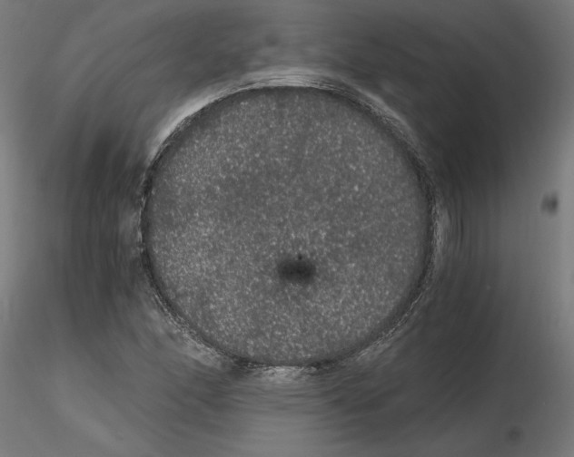 X0000116481166201001061114