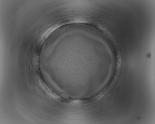 X0000116481169201001061114