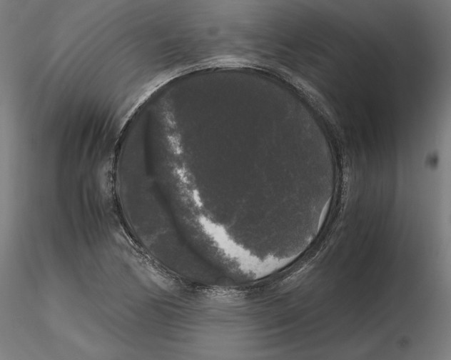 X0000116481170201001061114