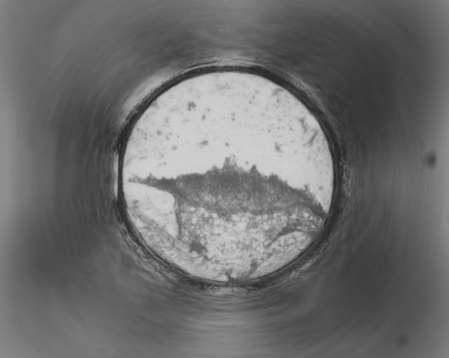 X0000116481171201001061114