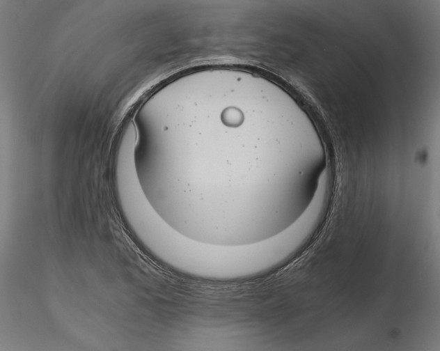 X0000116481173201001061114