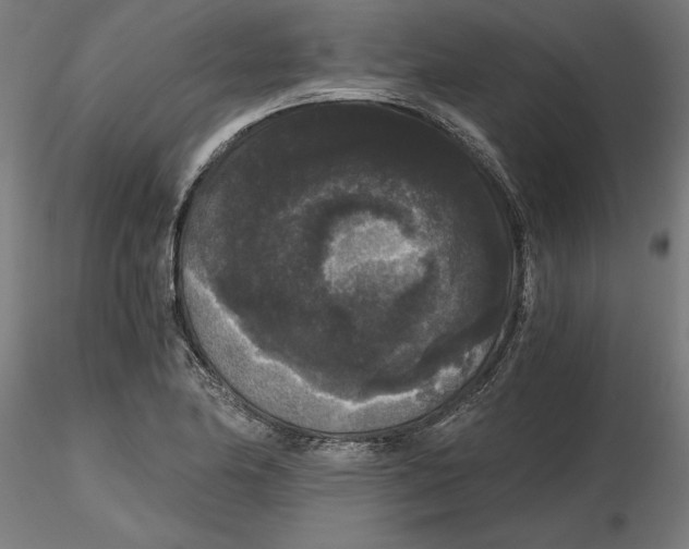 X0000116481174201001061114