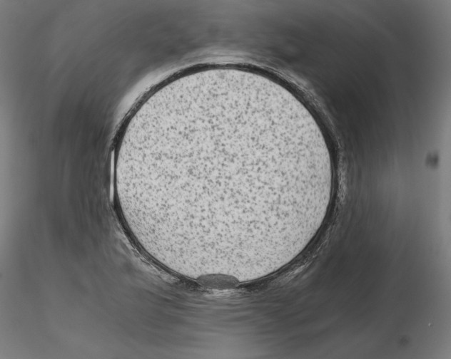 X0000116481175201001061114