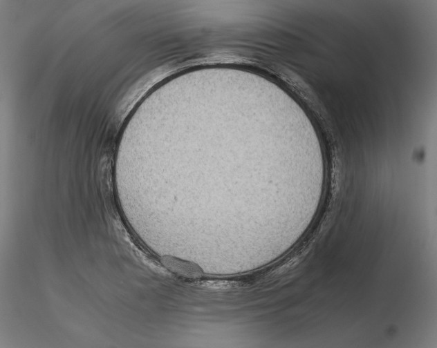 X0000116481177201001061114