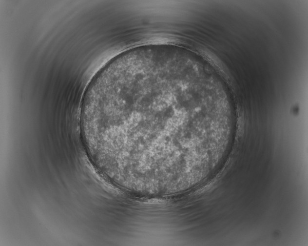 X0000116481178201001061114