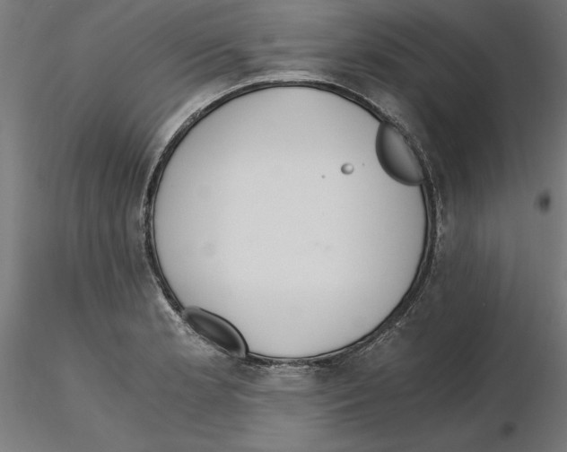 X0000116481181201001061114