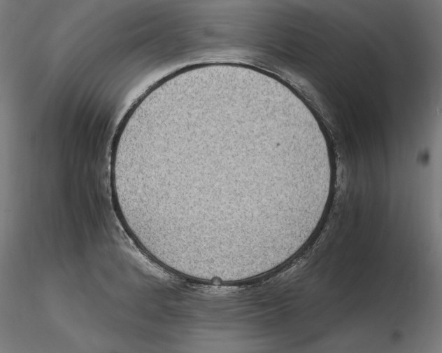 X0000116481184201001061114