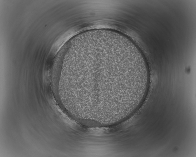 X0000116481185201001061114