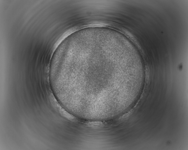 X0000116481186201001061114