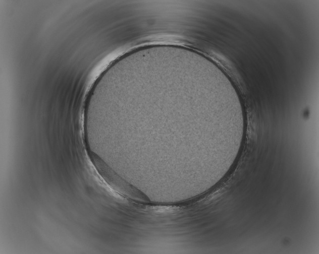 X0000116481188201001061113