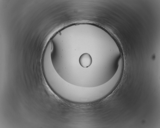 X0000116481189201001061113