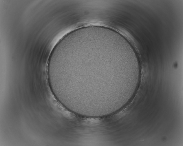 X0000116481190201001061113