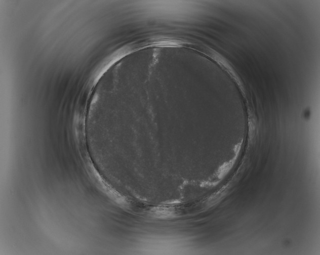 X0000116481194201001061113