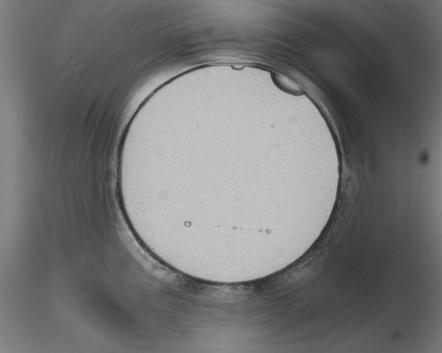 X0000116481195201001061113