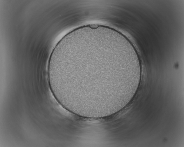 X0000116481199201001061113