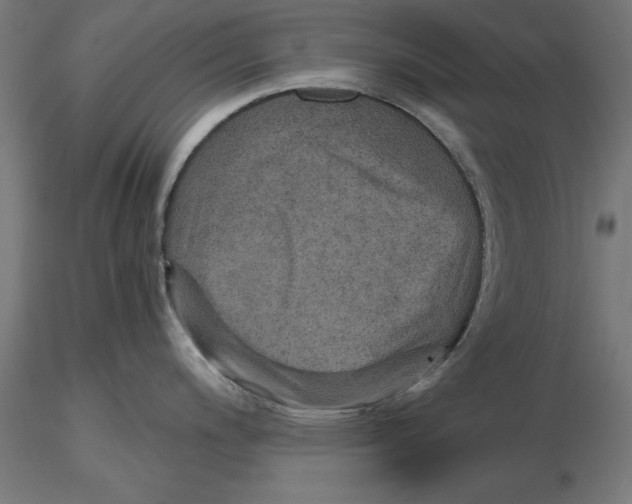 X0000116481200201001061113