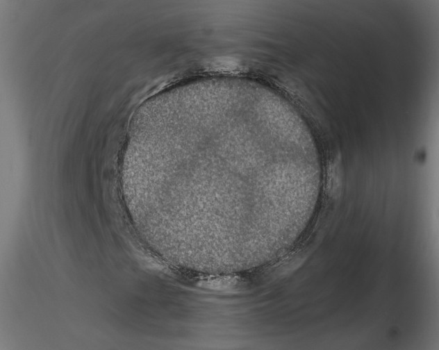 X0000116481201201001061113