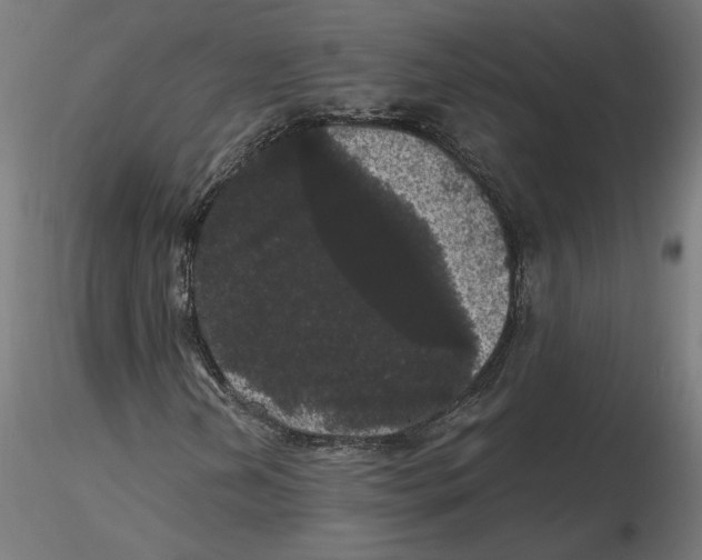 X0000116481202201001061113