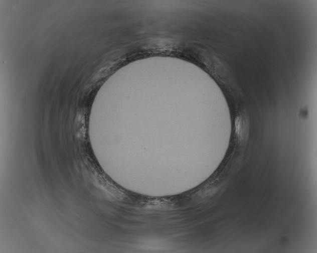 X0000116481203201001061113