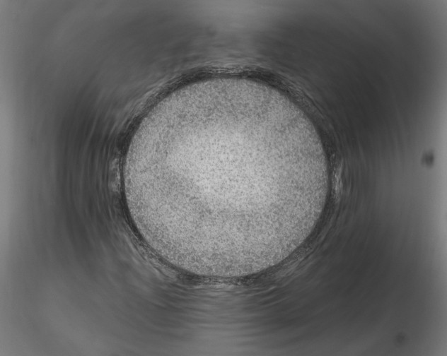 X0000116481204201001061113