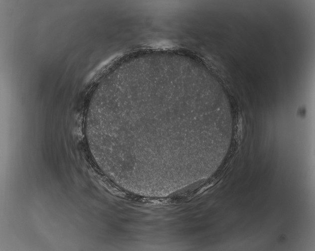 X0000116481205201001061113