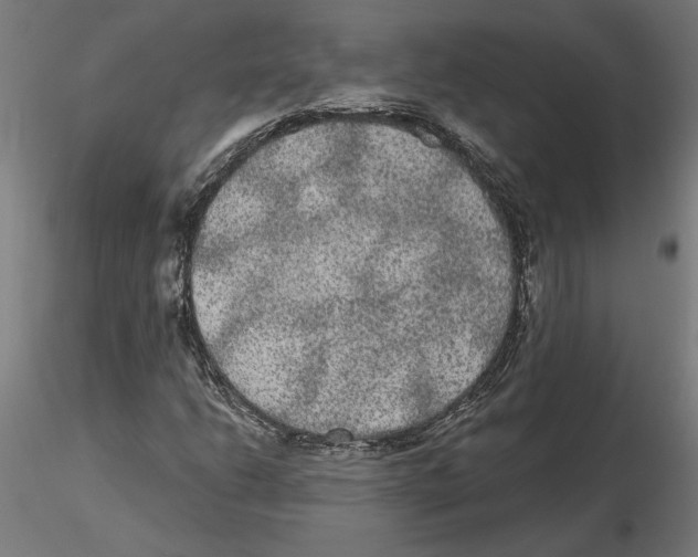 X0000116481206201001061113