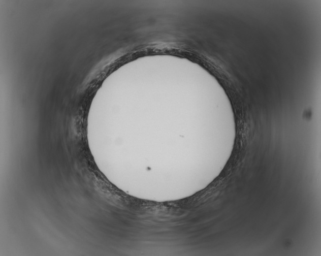 X0000116481207201001061113