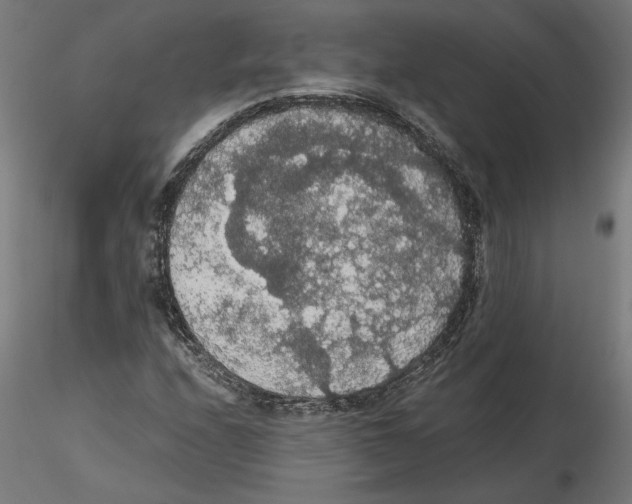 X0000116481208201001061113