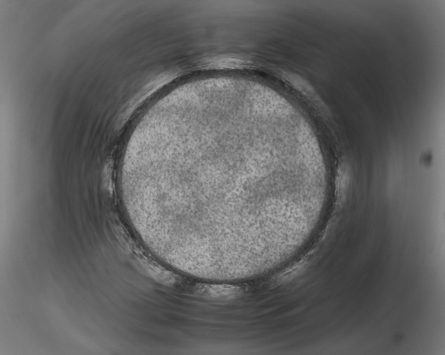 X0000116481209201001061113