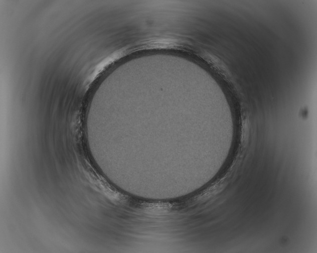 X0000116481210201001061113