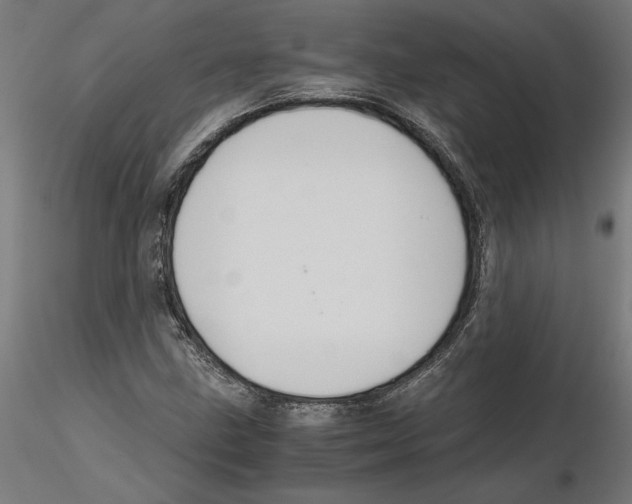 X0000116481211201001061113