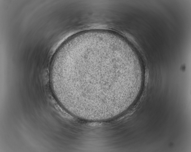 X0000116481212201001061113