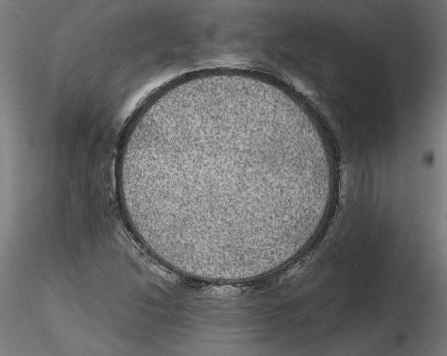 X0000116481214201001061113