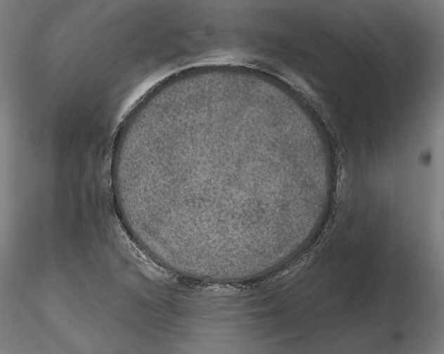 X0000116481216201001061113